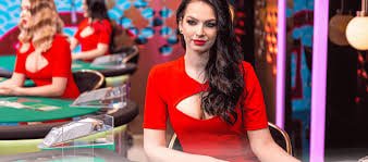 ড্রাগন প্রতীকসহ বাংলা গাইডের বিন্যাস